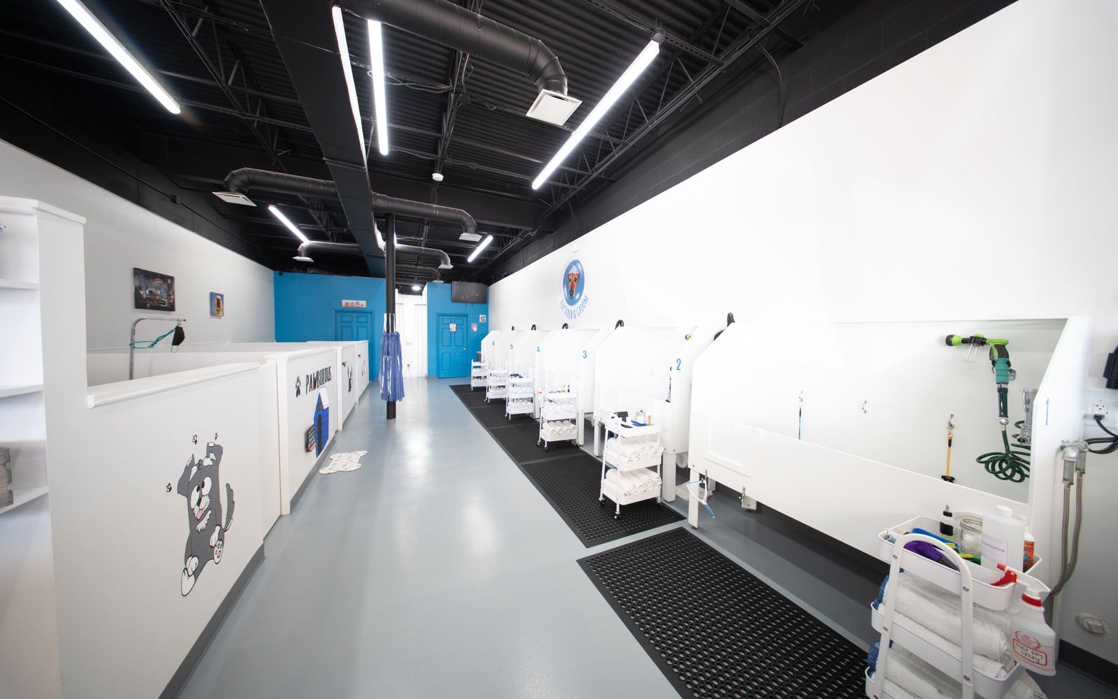 Pet-care franchise build-out interior